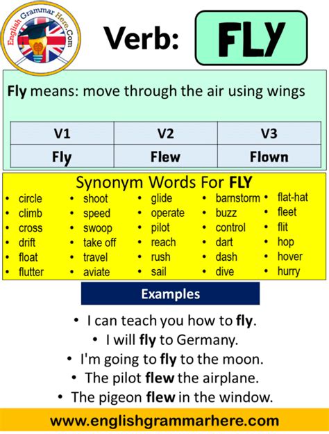 Nov 18, 2020 · When we talk about a past event, that is, Past Simple tense, we use the verb ‘fly’ with V2. The V2 form of the verb ’fly’ is ‘ flew ‘. The verb ‘fly’ becomes V2 if Past Tense is mentioned in the sentence. Because it is one of the regular verbs, it gets the suffix ‘-ed’ at the end of the word in V2. Each subject has the same use. 